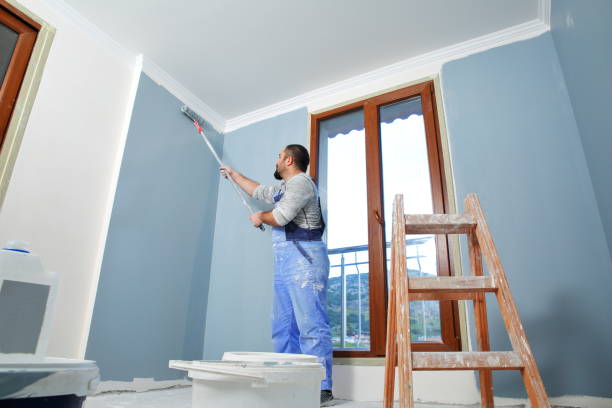 Mold Removal for HVAC Installations in Homeland Park, SC