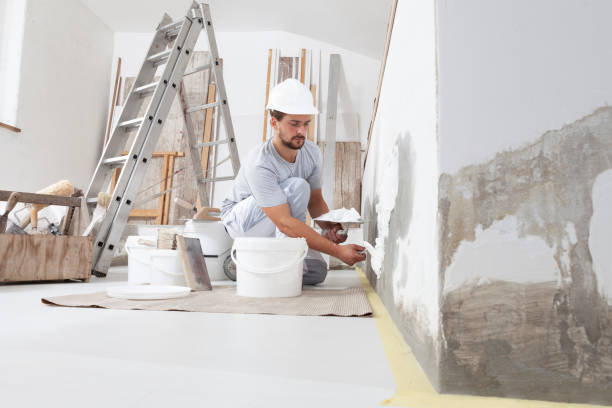 Best Real Estate Mold Inspection  in Homeland Park, SC