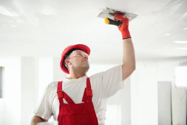 Best Forensic Mold Investigation  in Homeland Park, SC