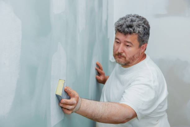 Best Post-Construction Mold Inspection  in Homeland Park, SC