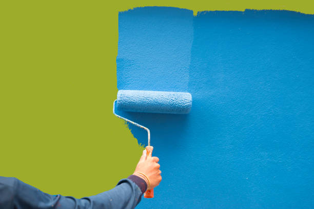 Mold Odor Removal Services in Homeland Park, SC