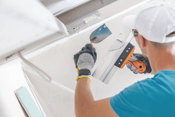 Best Attic Mold Removal  in Homeland Park, SC